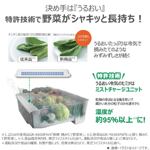 東芝 643L 6ドア冷蔵庫 VEGETA フロストホワイト GR-Y640XFS(TW)-イメージ5