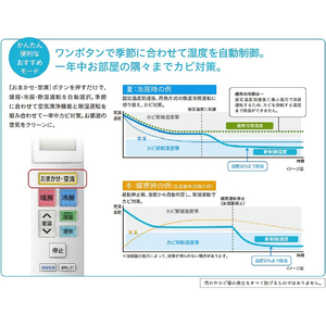 日立 「工事代金別」 12畳 フィルター自動清掃 省エネハイパワーエアコン e angle select 凍結洗浄 白くまくん Xシリーズ RASJT36NE3WS-イメージ7