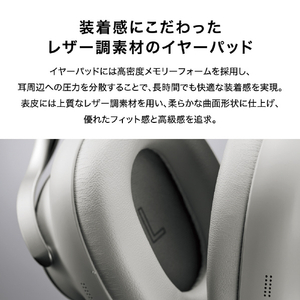 パナソニック ワイヤレスステレオヘッドホン Technics プラチナグレージュ EAH-A1000-S-イメージ16