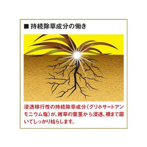 フマキラー 根まで枯らす虫よけ除草王プレミアム 1L FC011PN-イメージ6