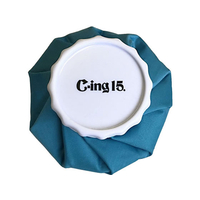 ゼット C-ing15 氷のう S FCG781Y-SIC3000