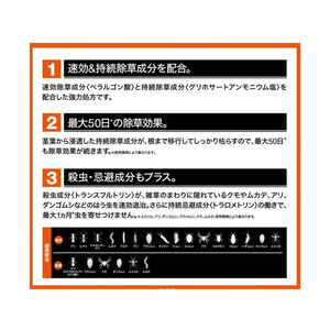 フマキラー 根まで枯らす虫よけ除草王プレミアム 2L FC012PN-イメージ3