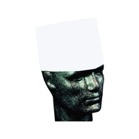 Pal 使い捨て 中華帽子 50枚入 31110 FC921LR-6159900