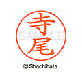 シヤチハタ ネームペン用ネーム シルバー 既製 寺尾 FC47255-X-GPS-1484