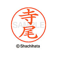 シヤチハタ ネームペン用ネーム シルバー 既製 寺尾 FC47255-X-GPS-1484
