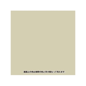 カンペハピオ ヌーロスプレー ライトベージュ 100ml FCB101N-イメージ2