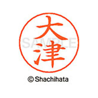 シヤチハタ ネームペン用ネーム シルバー 既製 大津 FC46271-X-GPS-0500