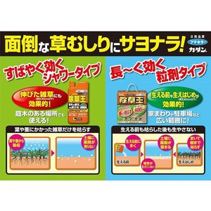 フマキラー オールキラー粒剤 900g FC017PN-イメージ7