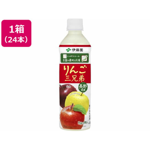 伊藤園 ニッポンエール 長野県産りんご三兄弟 400g 24本 FCE256S-イメージ1