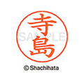 シヤチハタ ネームペン用ネーム シルバー 既製 寺島 FC47258-X-GPS-1487