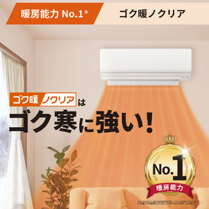 ゼネラル 「工事代金別」 エアコン2．5kWタイプ 8畳向け ゴク暖ノクリア ZNシリーズ AS-ZN257V-WS-イメージ4