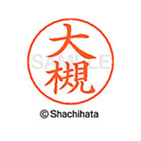 シヤチハタ ネームペン用ネーム シルバー 既製 大槻 FC46273-X-GPS-0502