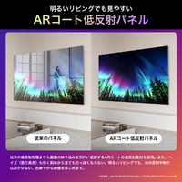 ハイセンス 65U9N 65V型4Kチューナー内蔵4K対応液晶テレビ U9Nシリーズ