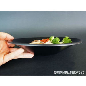中央化学 軽食容器 SD DP22-A BK 身 50枚 FCG913W-00453552-イメージ3