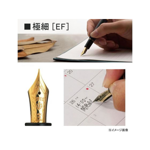 セーラー万年筆 万年筆 プロフィット スタンダード マルン EF 極細 FCR5554-111219132-イメージ3