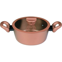 パール金属 ゴールドコーティングIH対応シチューポット 20cm FC583NM-CP-8809