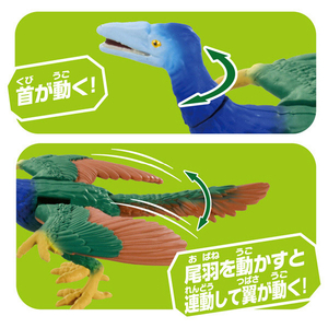 タカラトミー アニア AS-25 始祖鳥(アーケオプテリクス) ｱﾆｱAS25ｼｿﾁﾖｳｱ-ｹｵﾌﾟﾃﾘｸｽ-イメージ5