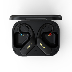 FIIO 左右独立型耳掛け式Bluetoothレシーバー UTWS5 2025 2PIN FIO-UTWS5-25-2PIN-イメージ2
