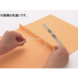 ライオン事務器 間伐材フラットファイル A4タテ 緑 F-519TS F885084-101-04-イメージ2