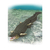 タカラトミー アニア AL-28 イリエワニ(水に浮くVer．) ｱﾆｱAL28ｲﾘｴﾜﾆﾐｽﾞﾆｳｸVER-イメージ6