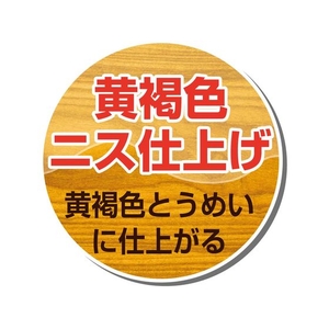 カンペハピオ セラックニスA 黄褐色とうめい 100ml FCB110N-イメージ4