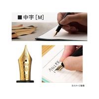 セーラー万年筆 FCR5562-111219420 万年筆 プロフィット スタンダード