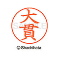 シヤチハタ ネームペン用ネーム シルバー 既製 大貫 FC46282-X-GPS-0511