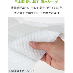 ストリックスデザイン 敷いて安心 吸水エチケットシート ミニ20P×30 FCU8202-SK-002-イメージ3