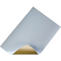 トラスコ スチールペーパー のり付 ｔ０．２ｍｍＸ巾４５０ｍｍＸ６００ｍｍ TSPN-450X600
