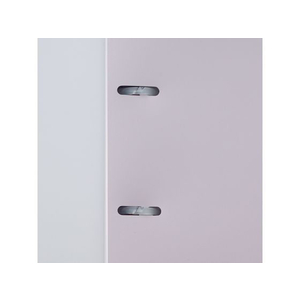 リヒトラブ プリントルーズバインダー B5タテ 2穴 ピンク FCU8338-N3120-12-イメージ5