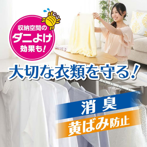 白元アース ドライ&ドライUP クローゼット用 2シート FCN3475-イメージ3