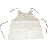 尚美堂 紙エプロン 大 100枚入 FC192LK-3739300