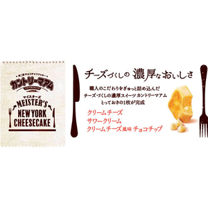 不二家 カントリーマアム マイスターズ NYチーズケーキ 11枚 FCD630N-イメージ2