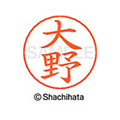 シヤチハタ ネームペン用ネーム シルバー 既製 大野 FC46284-X-GPS-0513