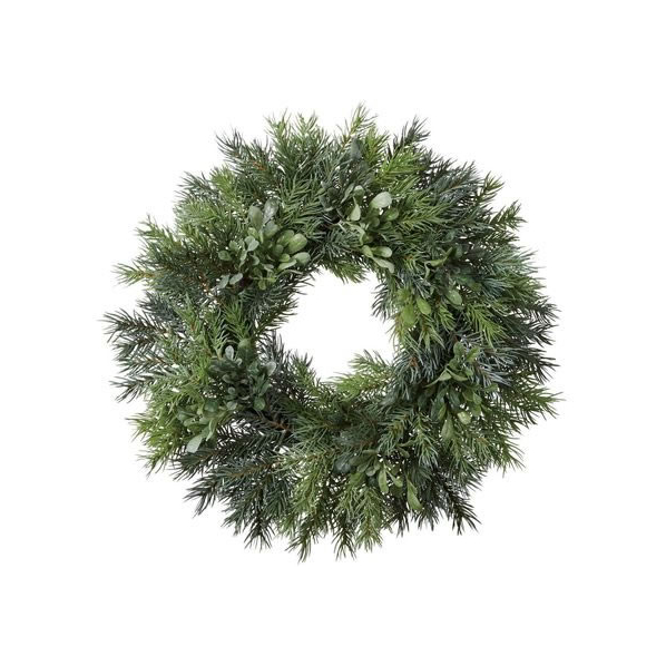 リース281グリーンリース