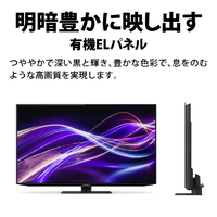 SHARP 48インチ 4K 有機ELテレビ ネット 2022年 d2893 SHARP 48インチ 4K 有機ELテレビ SHARP 48インチ 4K 有機ELテレビ