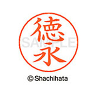 シヤチハタ ネームペン用ネーム シルバー 既製 徳永 FC47273-X-GPS-1502