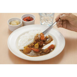 カンダ kan カレーとチャーハンを美味しく食べるスプーン FC618PL-000465-イメージ2
