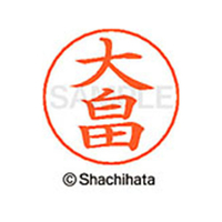 シヤチハタ ネームペン用ネーム シルバー 既製 大畠 FC46287-X-GPS-0516