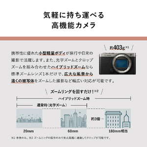 パナソニック デジタル一眼カメラ・ボディ LUMIX S DC-S9-S-イメージ11