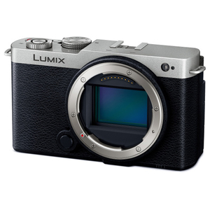 パナソニック デジタル一眼カメラ・ボディ LUMIX S DC-S9-S-イメージ2