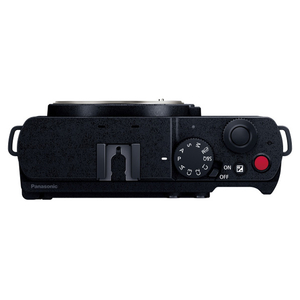 パナソニック デジタル一眼カメラ・ボディ LUMIX S DC-S9-S-イメージ8