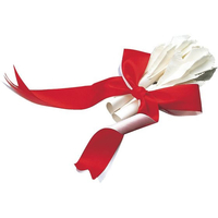 江部松商事 ターキー花 2本組 10本入 直径18mm FC119LK-3712000