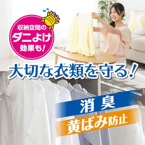 白元アース ドライ&ドライUP 洋服ダンス用 2シート入 FCN3477-イメージ3