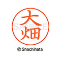 シヤチハタ ネームペン用ネーム シルバー 既製 大畑 FC46288-X-GPS-0517