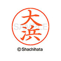 シヤチハタ ネームペン用ネーム シルバー 既製 大浜 FC46289-X-GPS-0518