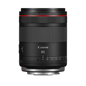 キヤノン RF85mm F1．4 L VCM RF8514LVCM-イメージ2