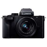 パナソニック デジタル一眼カメラ/標準ズームレンズキット LUMIX ブラック DCG100DKK