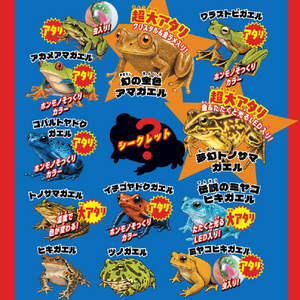 宝島社 びよ～ん! 最強リアルカエル大集合BOOK ｻｲｷﾖｳﾘｱﾙｶｴﾙﾀﾞｲｼﾕｳｺﾞｳBOOK-イメージ2