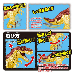 タカラトミー 冒険大陸 アニアキングダム ビッグアニア キングゴールド・ブレイズ(ティラノサウルス) ｱﾆｱKDﾋﾞﾂｸﾞｱﾆｱｷﾝｸﾞｺﾞ-ﾙﾄﾞ-イメージ6
